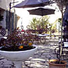 Le Clos Des Pins